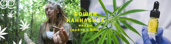 мдпв Новозыбков