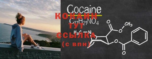 мдпв Новозыбков