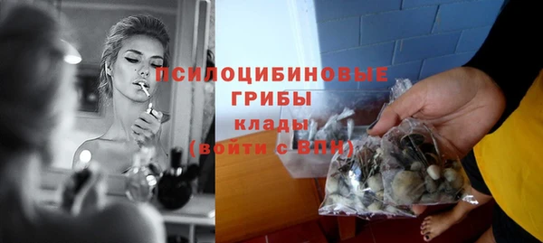 мдпв Новозыбков
