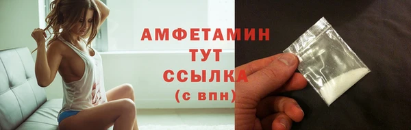 мдпв Новозыбков
