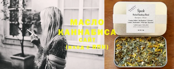 мдпв Новозыбков