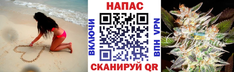 дарнет шоп  Зубцов  МЕГА зеркало  Бошки марихуана семена 